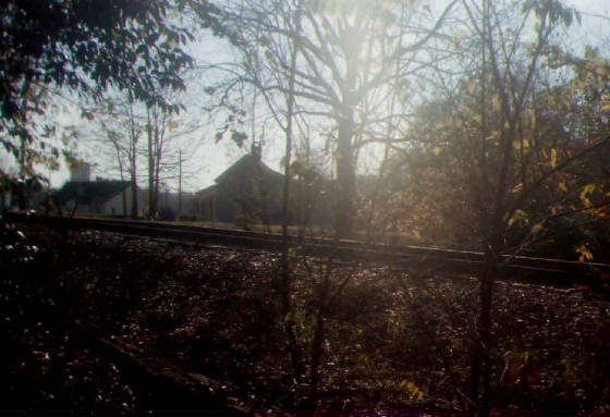 browniejuniorsix16darkrails.jpg
