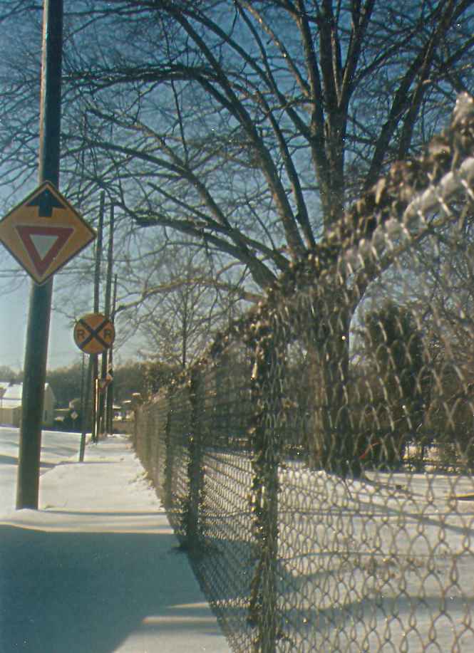 browniejuniorsix16icyfence.jpg